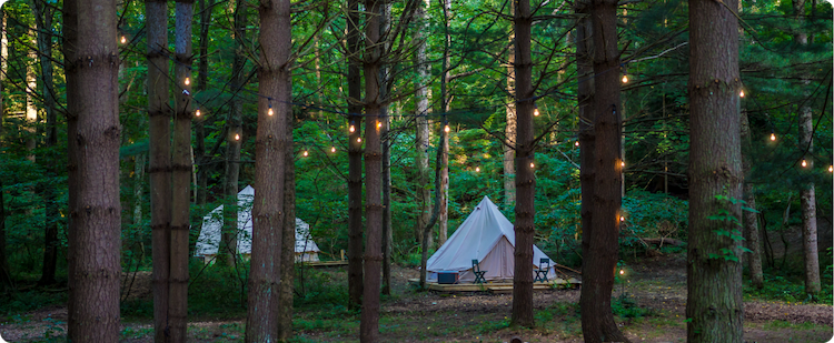 Unwind in Nature with Campmonk